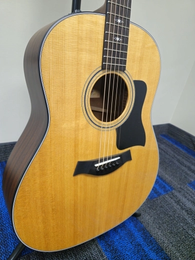 Taylor Guitars - 317E 2